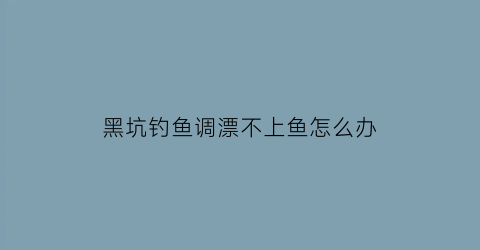 黑坑钓鱼调漂不上鱼怎么办