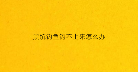 黑坑钓鱼钓不上来怎么办