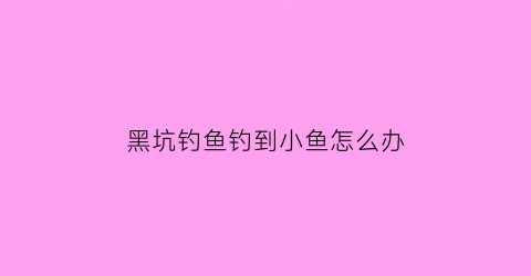 黑坑钓鱼钓到小鱼怎么办(黑坑钓鱼钓到小鱼怎么办视频)