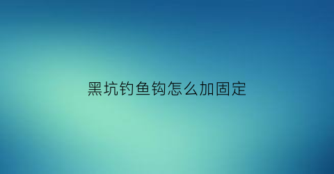 黑坑钓鱼钩怎么加固定(黑坑钓鱼钩怎么加固定线)
