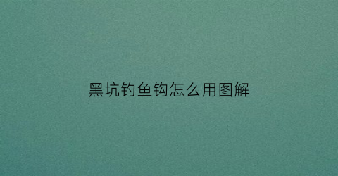 黑坑钓鱼钩怎么用图解(黑坑钓鱼钩怎么用图解法)