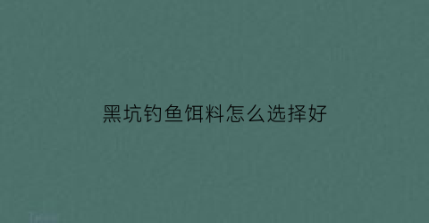 “黑坑钓鱼饵料怎么选择好(黑坑饵料该如何选择)