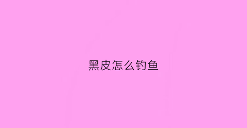 黑皮怎么钓鱼(黑皮怎么钓鱼最好)