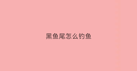 黑鱼尾怎么钓鱼(单黑鱼尾)