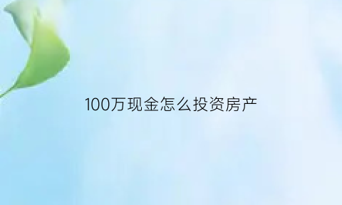 100万现金怎么投资房产