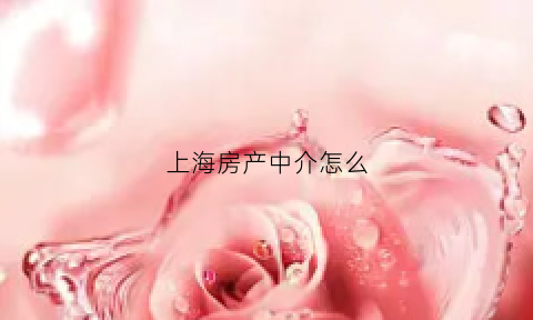 上海房产中介怎么(上海房产中介的套路)