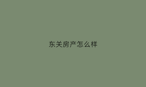 东关房产怎么样(东关街房子)