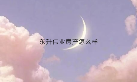 东升伟业房产怎么样