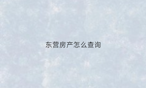 东营房产怎么查询(东营房管局官网网上查询)