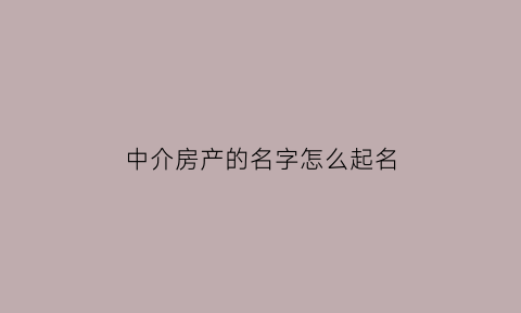 中介房产的名字怎么起名(房产中介怎么取名字)