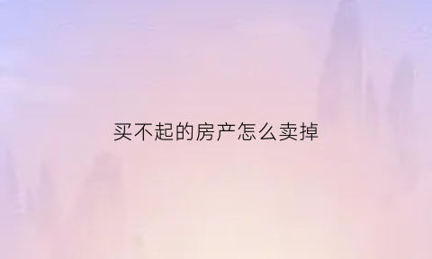 买不起的房产怎么卖掉(如果买不起房子怎么办)