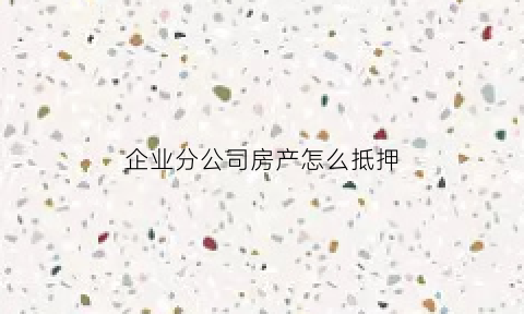 企业分公司房产怎么抵押(分公司抵押名下房产)