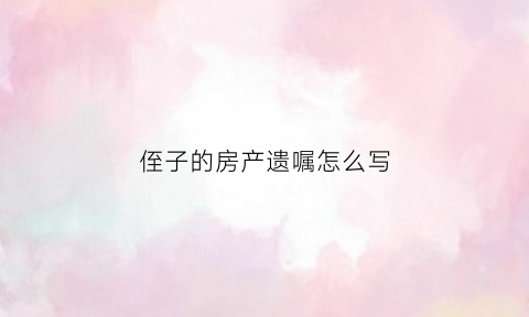 侄子的房产遗嘱怎么写(遗嘱侄子有继承权吗)