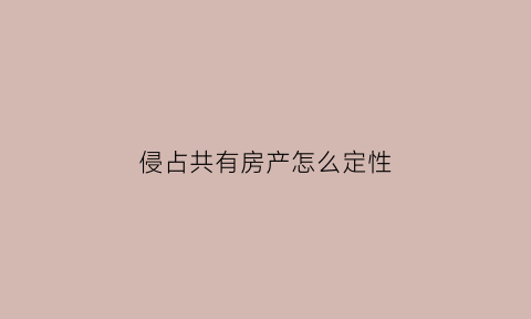 侵占共有房产怎么定性(侵占按份共有的案例)