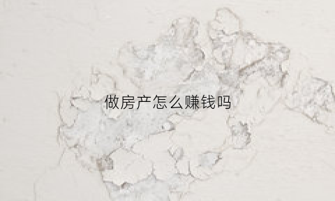 做房产怎么赚钱吗(做房产有前途吗)