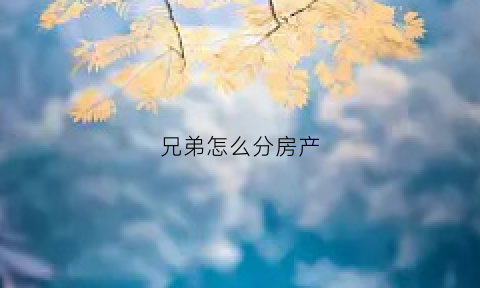 兄弟怎么分房产(兄弟分房产证怎么申请)