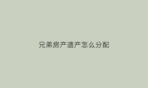 兄弟房产遗产怎么分配(兄弟房产继承权问题)
