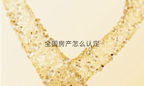 全国房产怎么认定(全国房产信息查询官网)