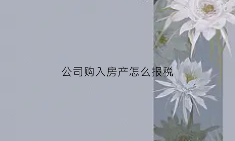公司购入房产怎么报税(公司买了房产怎样申报房产税)
