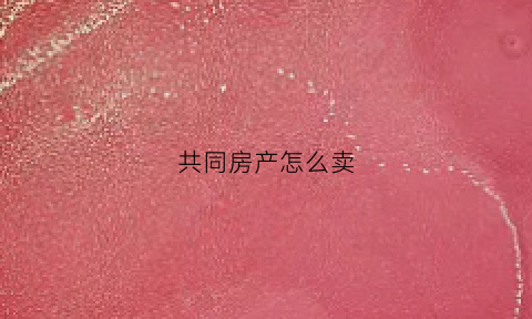共同房产怎么卖(共同房产怎么卖最划算)