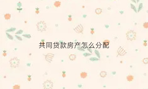 共同贷款房产怎么分配(共同贷款房产怎么分配的)