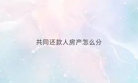共同还款人房产怎么分(共同还款人产权)