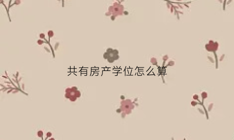 共有房产学位怎么算(共有产权房学位)