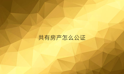共有房产怎么公证(房产怎么公证给一方)