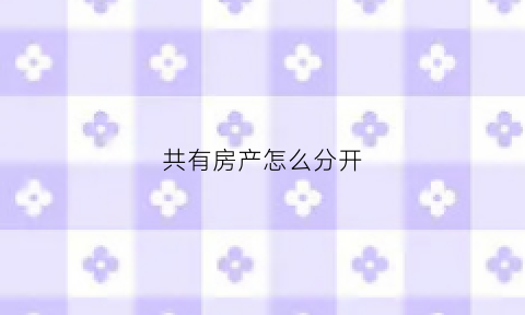 共有房产怎么分开(共有房产怎么分开过户)
