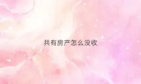 共有房产怎么没收(共有房产怎么没收房子)