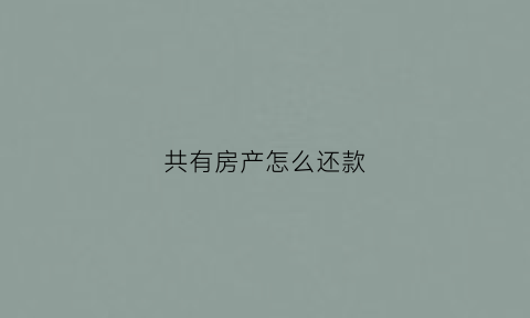 共有房产怎么还款(共有产权房怎么还款)