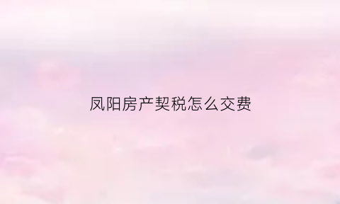 凤阳房产契税怎么交费(凤阳房产局)