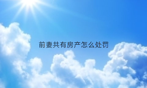 前妻共有房产怎么处罚(前妻名下的房产道德观察)