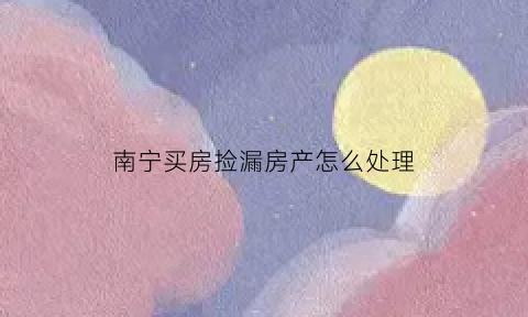 南宁买房捡漏房产怎么处理(南宁买房视频)