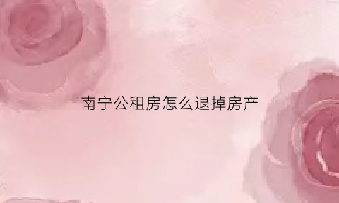 南宁公租房怎么退掉房产