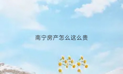 南宁房产怎么这么贵(南宁的房价凭什么这么高)