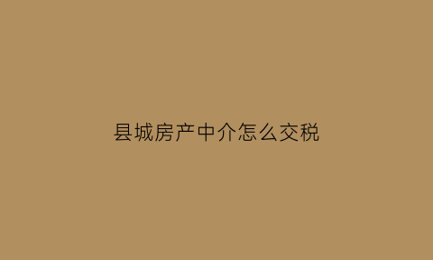 县城房产中介怎么交税