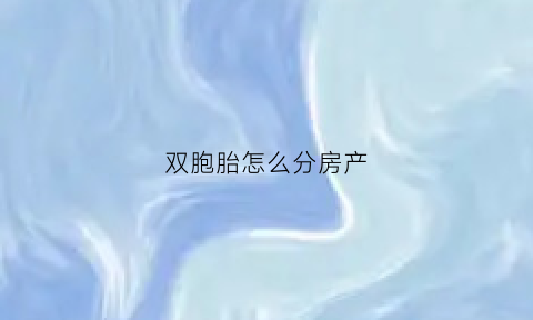 双胞胎怎么分房产(双胞胎怎么分房产和户口)