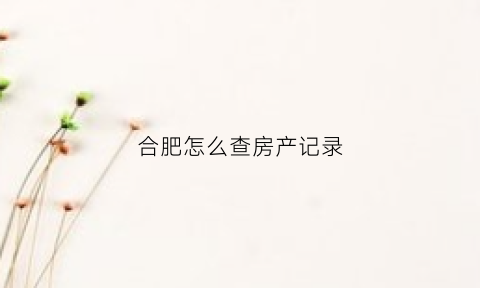 合肥怎么查房产记录(合肥怎么查名下房产)