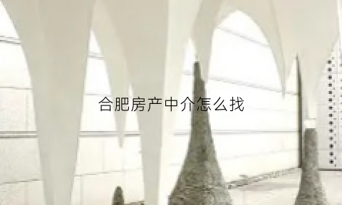 合肥房产中介怎么找(合肥房产中介怎么找工作的)