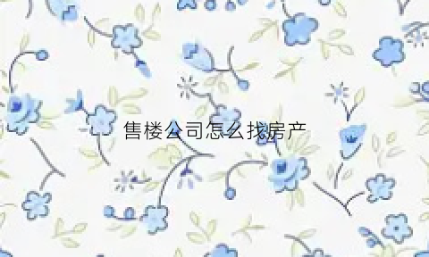 售楼公司怎么找房产(房地产公司怎么找客户)