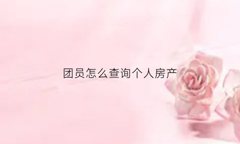 团员怎么查询个人房产(团员去哪里查询)