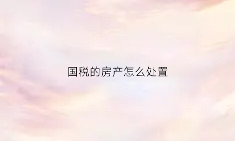 国税的房产怎么处置(房产税入国库吗)