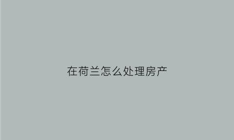 在荷兰怎么处理房产(荷兰的房产是永久的吗)