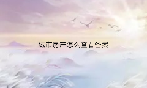 城市房产怎么查看备案(怎么查看房产局备案)