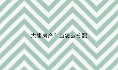 大唐房产利益怎么分配(大唐房屋盈利模式)