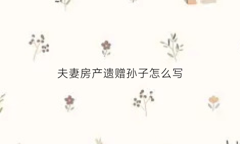 夫妻房产遗赠孙子怎么写(房产遗嘱赠与孙子)