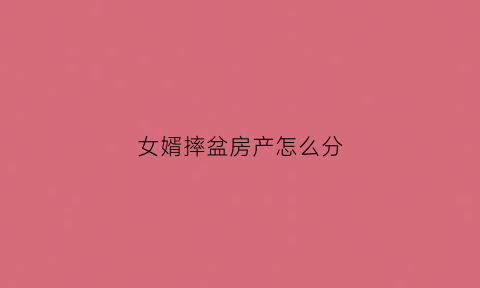 女婿摔盆房产怎么分(女婿摔老盆好不好)