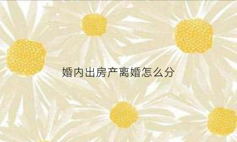 婚内出房产离婚怎么分(婚内房产离婚)