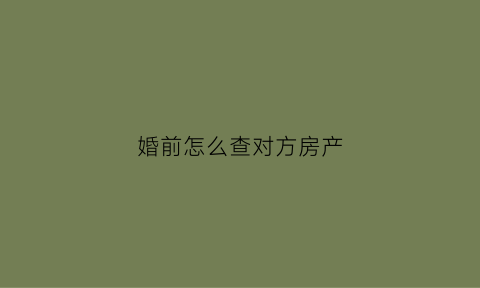 婚前怎么查对方房产(婚前怎么查对方的征信)